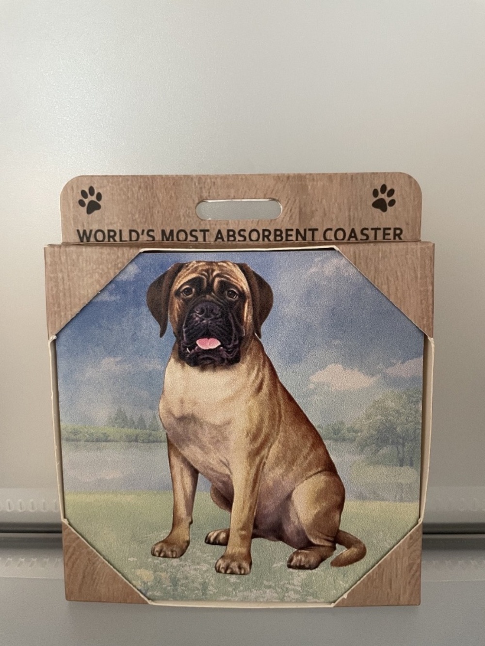 Bullmastiff Dog Stone Coaster 4x4 Absorbent Ceramic Pet Lover Gift Home Decor